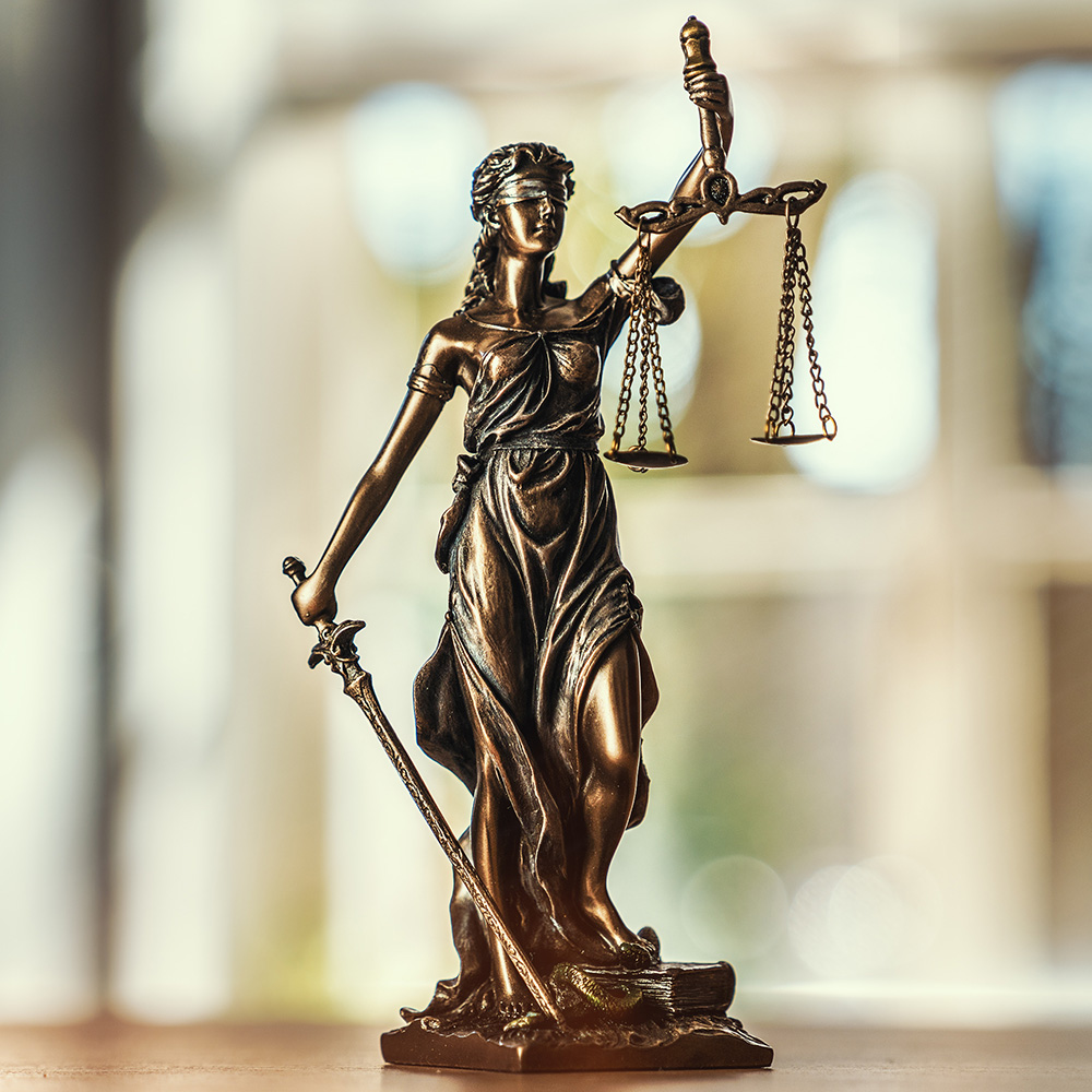 Tax Law Services